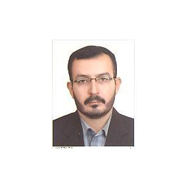 سید مهدی صالحی