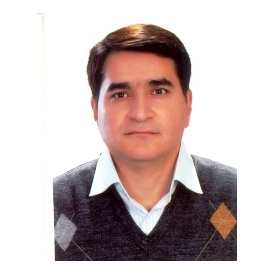 علیرضا قلعه ای