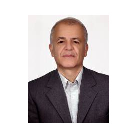 محمد مهدی برادرانی