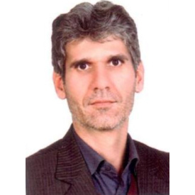 حجت احمدی