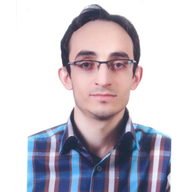 حسام احمدی بیرگانی