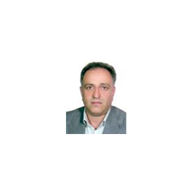 میر حسن سید عامری