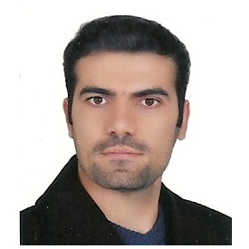 محسن اسلامی