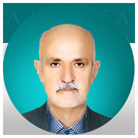 پروفسور سیدمهدی رضوی روحانی