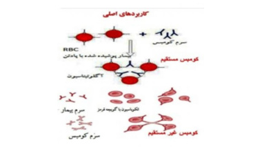 آنتی بادی پلی کلونال بر علیه ایمونوگلوبولین انسانی