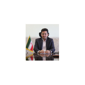 رامین رزمی